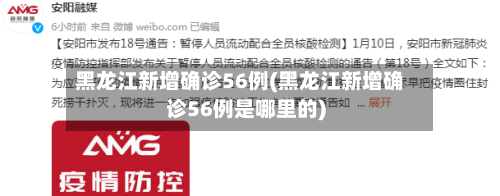 黑龙江新增确诊56例(黑龙江新增确诊56例是哪里的)