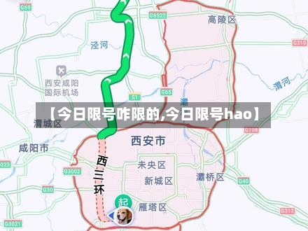 【今日限号咋限的,今日限号hao】-第2张图片