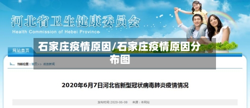 石家庄疫情原因/石家庄疫情原因分布图-第2张图片