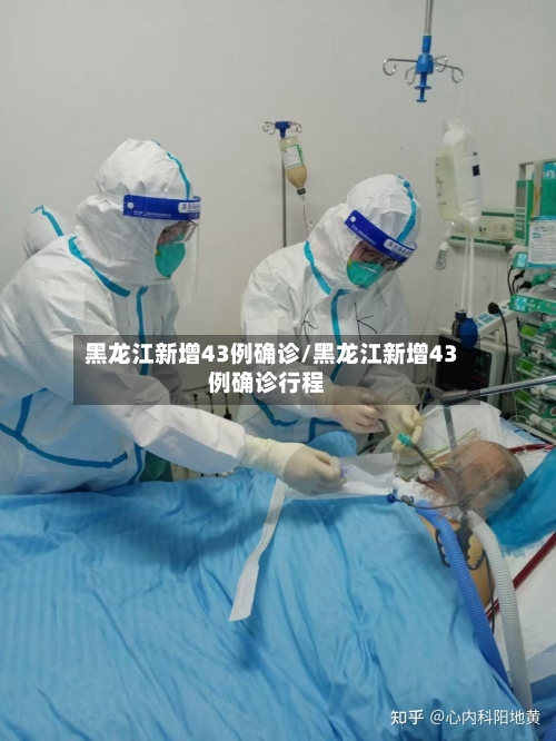 黑龙江新增43例确诊/黑龙江新增43例确诊行程