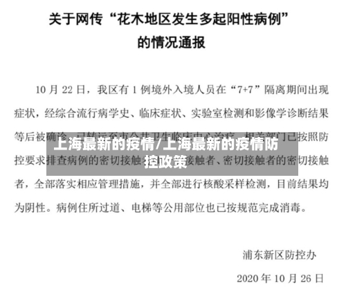 上海最新的疫情/上海最新的疫情防控政策