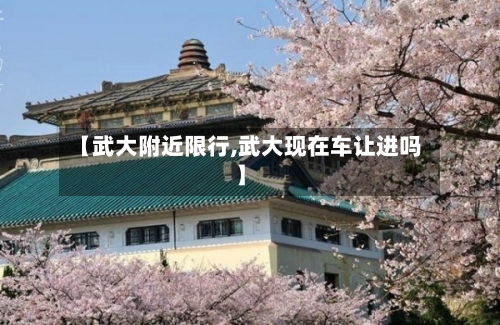 【武大附近限行,武大现在车让进吗】-第2张图片
