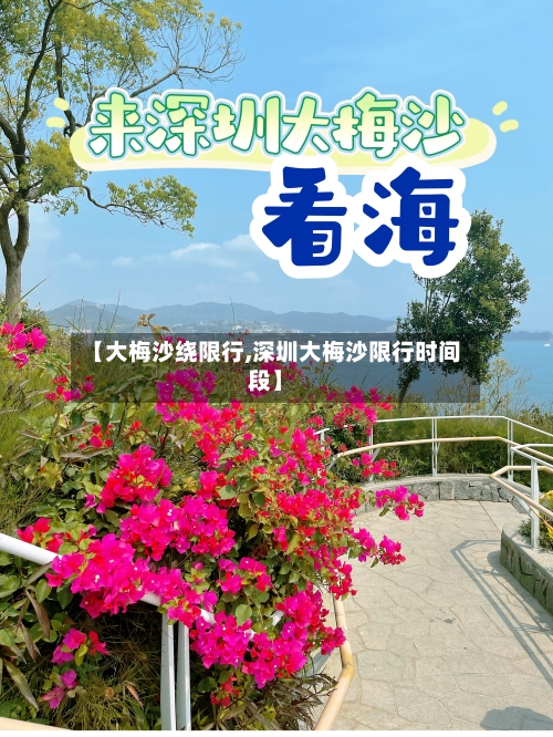 【大梅沙绕限行,深圳大梅沙限行时间段】-第2张图片