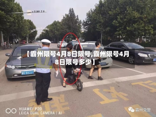 【霸州限号4月8日限号,霸州限号4月8日限号多少】-第2张图片