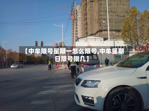 【中牟限号星期一怎么限号,中牟星期日限号限几】-第3张图片