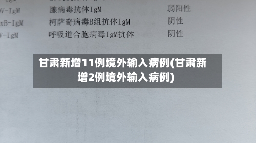 甘肃新增11例境外输入病例(甘肃新增2例境外输入病例)-第2张图片