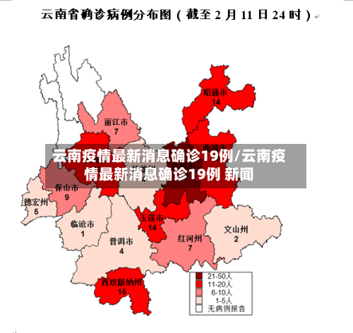 云南疫情最新消息确诊19例/云南疫情最新消息确诊19例 新闻-第2张图片