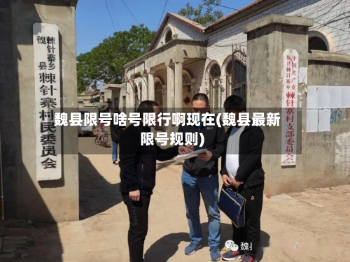魏县限号啥号限行啊现在(魏县最新限号规则)-第3张图片