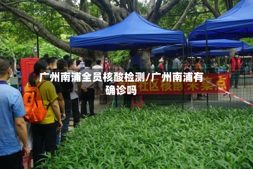 广州南浦全员核酸检测/广州南浦有确诊吗
