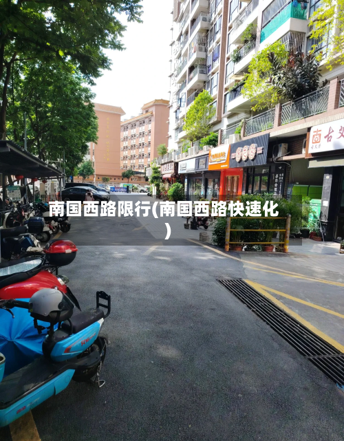 南国西路限行(南国西路快速化)