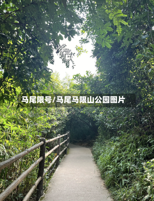 马尾限号/马尾马限山公园图片
