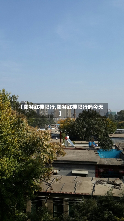 【阳谷红楼限行,阳谷红楼限行吗今天】