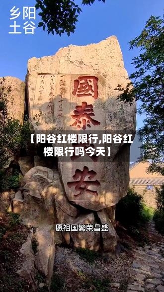 【阳谷红楼限行,阳谷红楼限行吗今天】-第2张图片