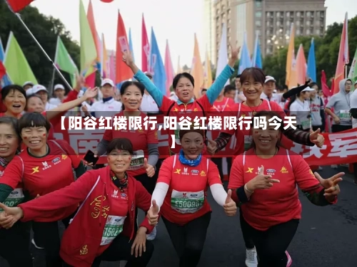 【阳谷红楼限行,阳谷红楼限行吗今天】-第3张图片