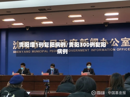 贵阳增1例复阳病例/贵阳300例复阳病例-第2张图片