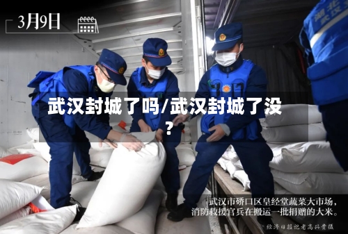 武汉封城了吗/武汉封城了没?-第2张图片