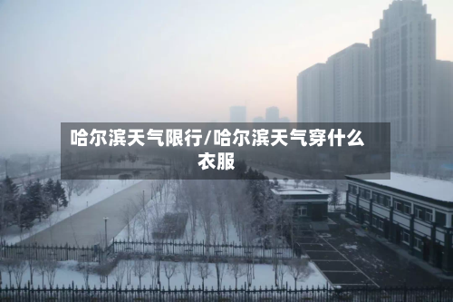 哈尔滨天气限行/哈尔滨天气穿什么衣服-第2张图片
