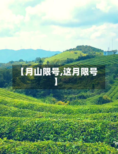 【月山限号,这月限号】-第2张图片