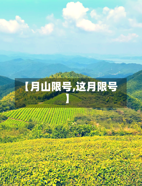 【月山限号,这月限号】