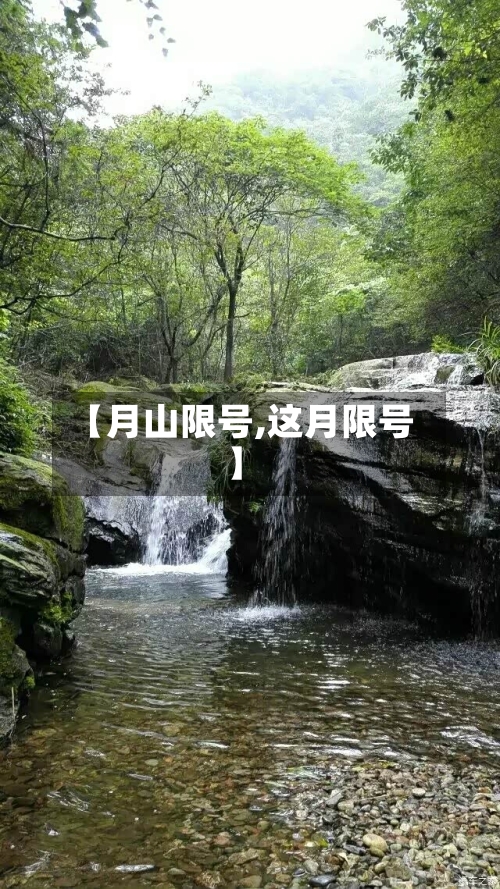 【月山限号,这月限号】-第3张图片