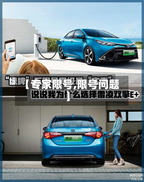 【专家限号,限号问题】-第3张图片