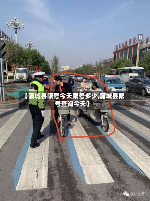 【蒲城县限号今天限号多少,蒲城县限号查询今天】-第3张图片