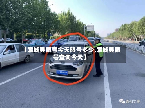 【蒲城县限号今天限号多少,蒲城县限号查询今天】-第2张图片