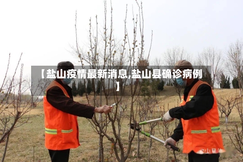 【盐山疫情最新消息,盐山县确诊病例】-第2张图片