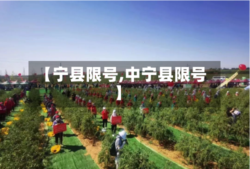 【宁县限号,中宁县限号】-第2张图片
