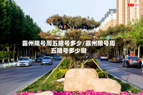 霸州限号周五限号多少/霸州限号周五限号多少啊