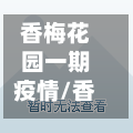 香梅花园一期疫情/香梅花园属于哪个区