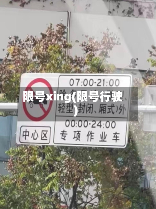 限号xing(限号行驶)