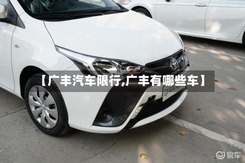 【广丰汽车限行,广丰有哪些车】-第2张图片