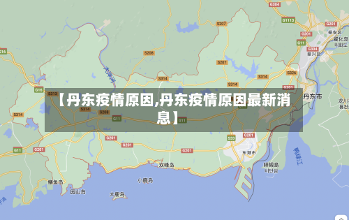【丹东疫情原因,丹东疫情原因最新消息】-第3张图片