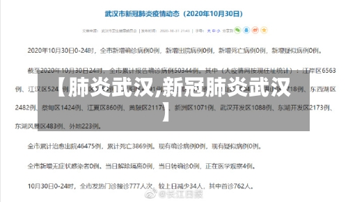 【肺炎武汉,新冠肺炎武汉】-第2张图片