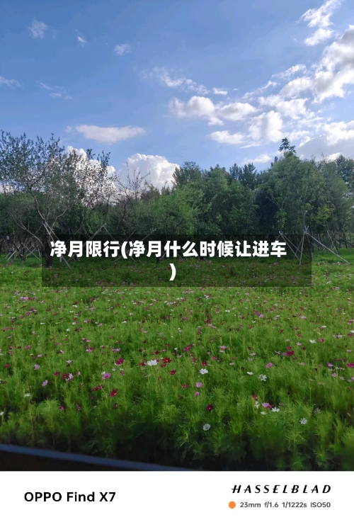 净月限行(净月什么时候让进车)