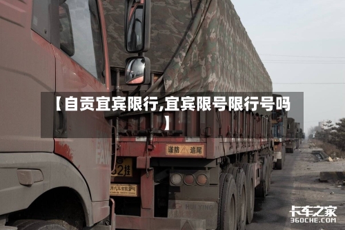 【自贡宜宾限行,宜宾限号限行号吗】