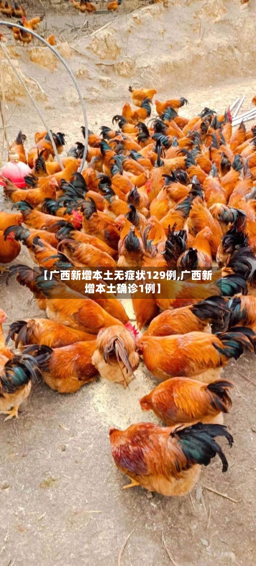【广西新增本土无症状129例,广西新增本土确诊1例】-第3张图片