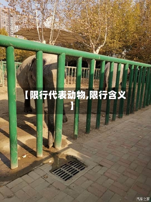 【限行代表动物,限行含义】-第3张图片