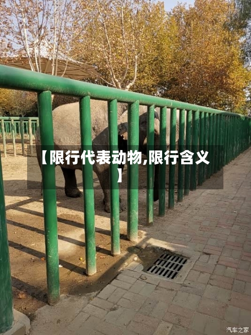 【限行代表动物,限行含义】-第2张图片