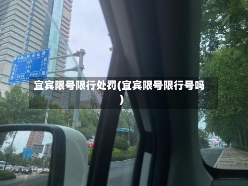 宜宾限号限行处罚(宜宾限号限行号吗)-第3张图片