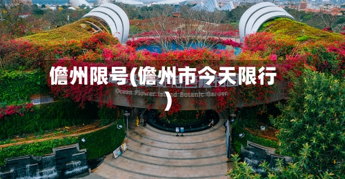 儋州限号(儋州市今天限行)-第2张图片