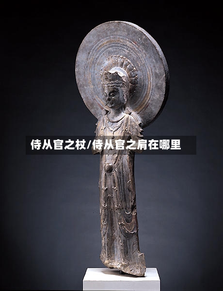 侍从官之杖/侍从官之肩在哪里