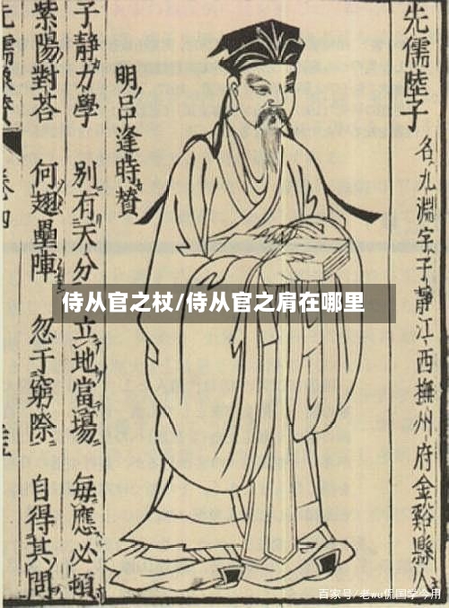 侍从官之杖/侍从官之肩在哪里-第3张图片