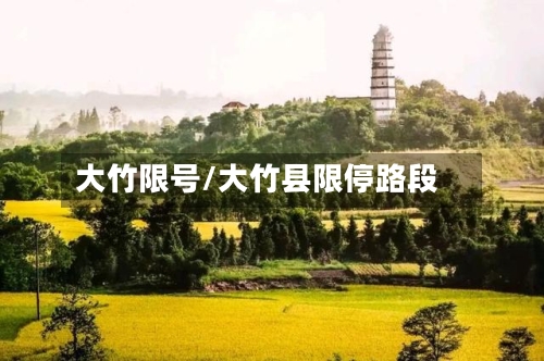 大竹限号/大竹县限停路段-第3张图片