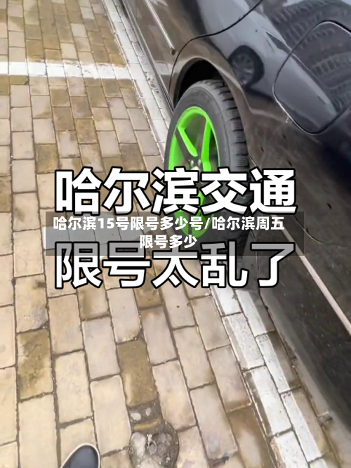哈尔滨15号限号多少号/哈尔滨周五限号多少-第3张图片
