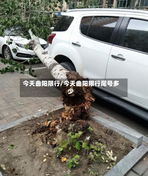 今天曲阳限行/今天曲阳限行尾号多少-第2张图片