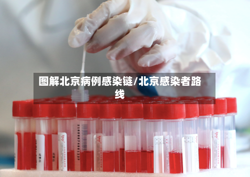 图解北京病例感染链/北京感染者路线-第2张图片