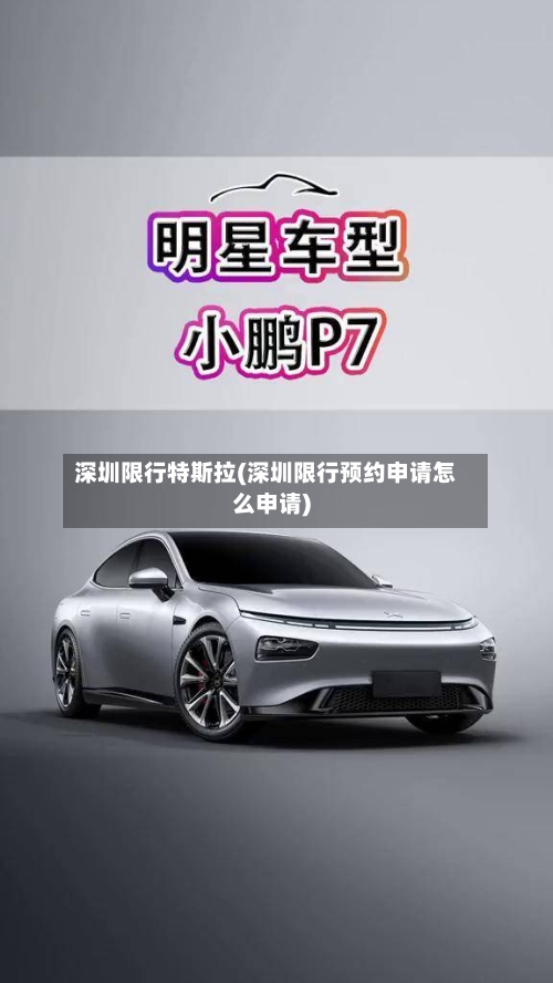 深圳限行特斯拉(深圳限行预约申请怎么申请)-第2张图片