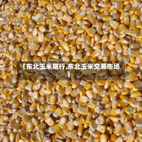 【东北玉米限行,东北玉米交易市场】-第2张图片